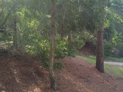 Terreno en Venta 15  mts Frente