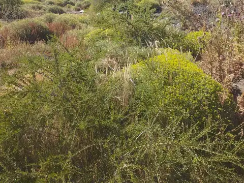 Terreno en Venta de 655,0 m2