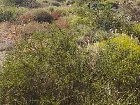 Terreno en Venta de 655,0 m2