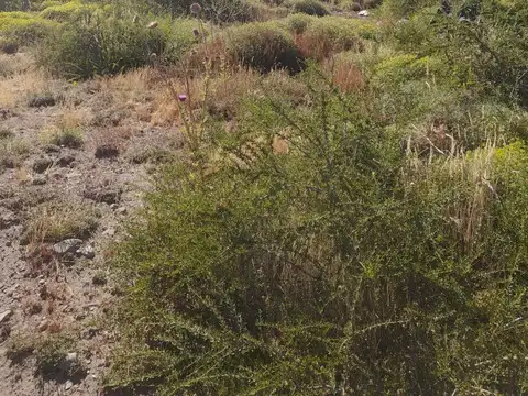 Terreno en  Barrio Valle Chapelco, San Martin de los Andes