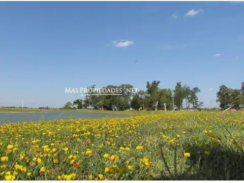 Venta Terreno / Lote en San Lucas Canning