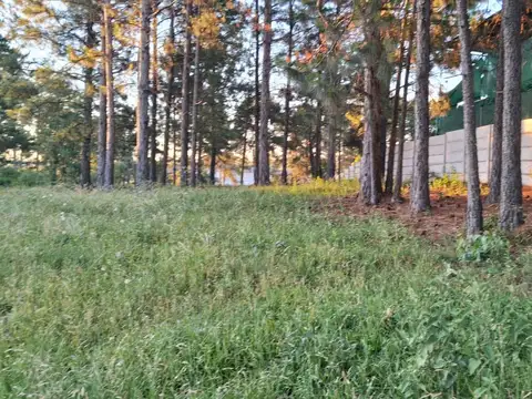 Terreno en Alquiler de 3400,0 m2