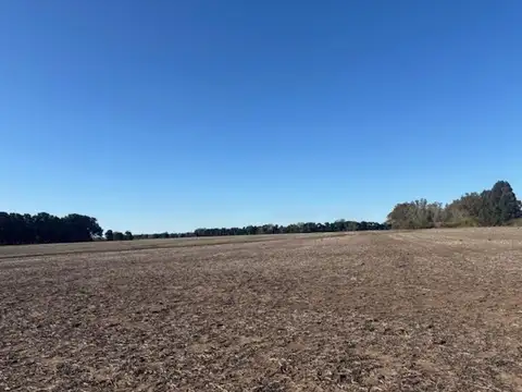 Campo en venta 17 has agrícolas luz enfrente, arboleda.