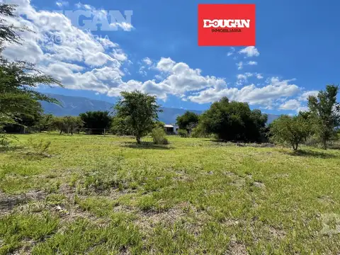 Venta - lote de 2500 metros - merlo san luis