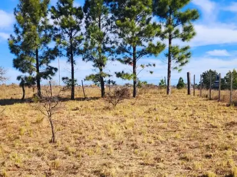Terreno en Venta en Yacanto Calamuchita, Calamuchita