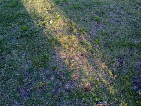 Terreno en Venta de 310,0 m2