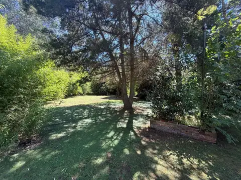 Calle 141 bis e/ 420 y 422 100