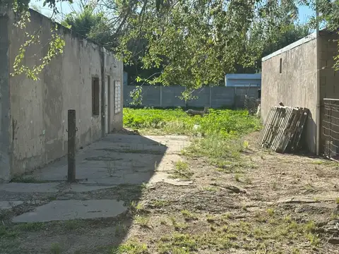 Pueyrredon 300