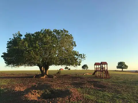 Reserva Chaviyú