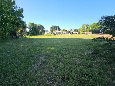 9 DE JULIO  350 ENTRE NAPOLES Y LONDRES