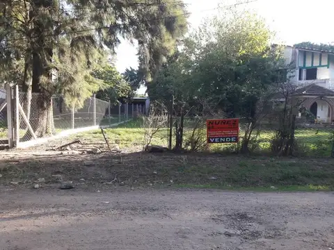 EXCELENTE LOTE 