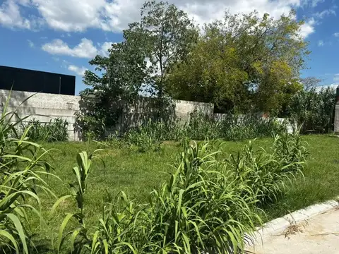 Terreno en Venta 12  mts Fondo