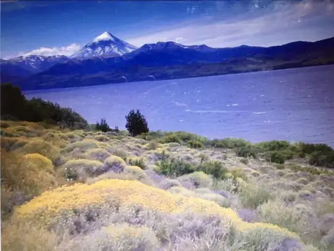 OPORTUNIDAD! Necesidad de venta Terreno 2600 m2 sobre Costa de lago - Huechulafquen