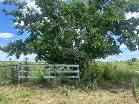 CAMPO EN VENTA ETCHEGOYEN 5 HECTAREAS EN ESQUINA