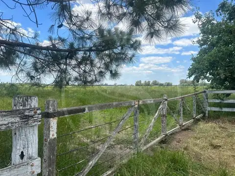 CAMPO EN VENTA ETCHEGOYEN 5 HECTAREAS EN ESQUINA