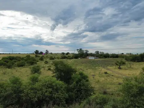 Vendo Lote de 1 Hectárea en Colonia Elia, Entre Ríos. 