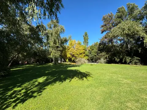 Terreno en Venta 25  mts Fondo