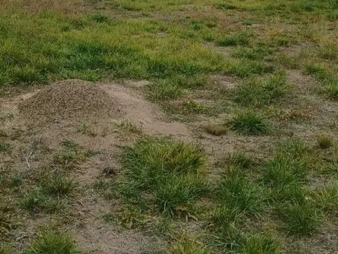 Terreno en Venta de 269,0 m2