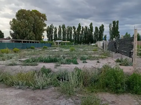 Callejón Molina 8300