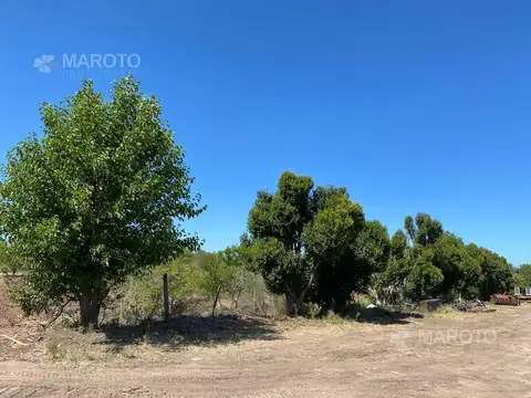 Terreno en Venta en Dique Lujan, USD 6.700.000