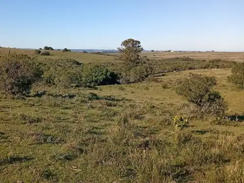 Corte de La Leña