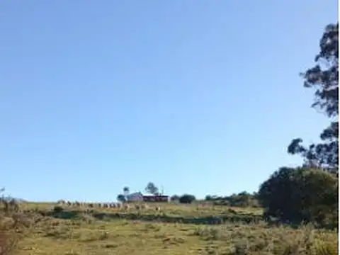 Corte de La Leña