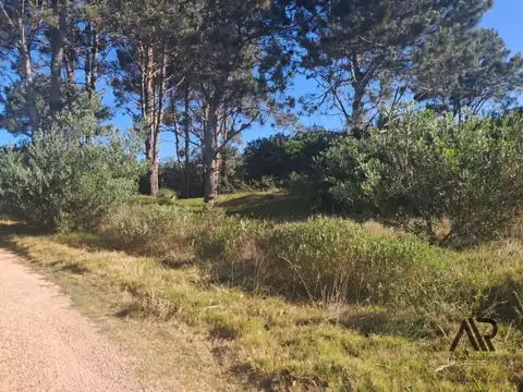 Terreno en Venta de 8209,0 m2