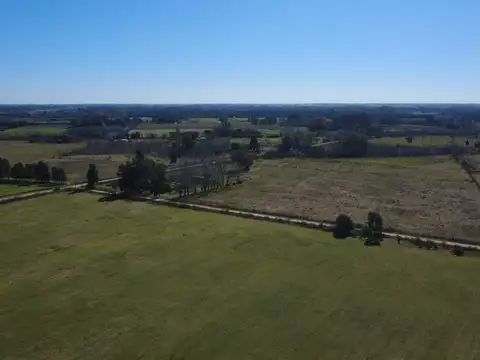 Campo en Venta de 12  ha