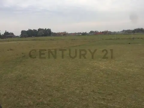 Terreno en Venta de 800,0 m2