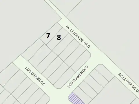 Avenida Lluvia de Oro - Calle 100