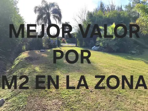 VENTA LOTE BENAVIDEZ 6500 M2 ZONA RM2