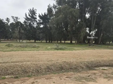 Terreno en Venta de 600,0 m2