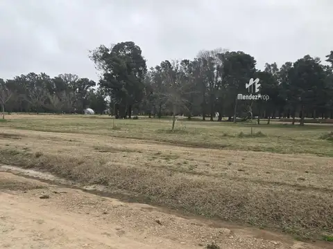Terreno en Venta en El Paraíso, USD 16.800