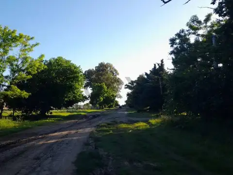 Terreno en Venta 40  mts Fondo