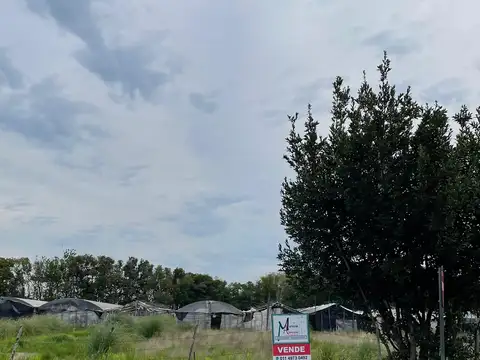 LOTES EN VENTA - LOS CARDALES