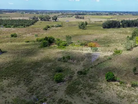 Venta campo 3 hectareas en Canelon Chico