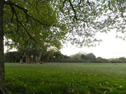 Terreno en Venta de 312,0 m2