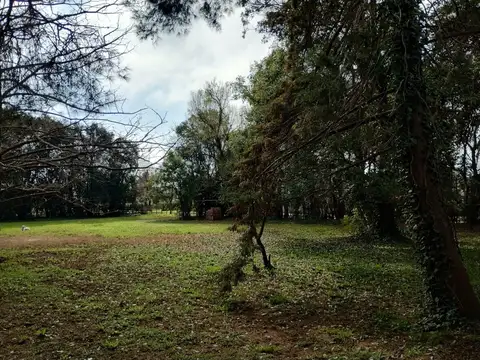 Terreno en Venta 50  mts Fondo
