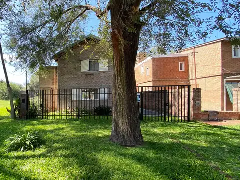 José Trivisono al 1600