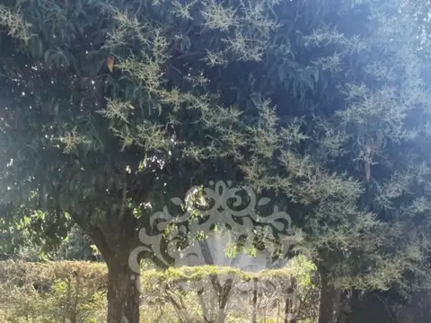 Consultar dirección