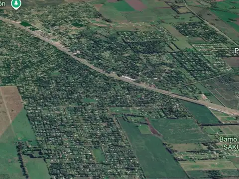 Campo 25ha en Venta- Remanso-Exaltación de la Cruz