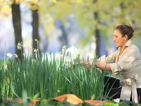 Lote en Estancia Villa Maria - Maximo Paz