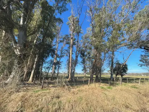 Terreno en Venta de 1800,0 m2