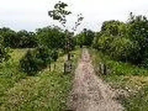 Terreno en Venta 20  mts Frente