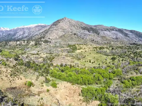 Campo en venta 150 has con Rio en  Cuesta del Ternero, Rio Negro