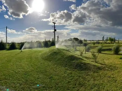 Campos de La Enriqueta