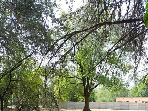 Jose L. Bustamante 4262