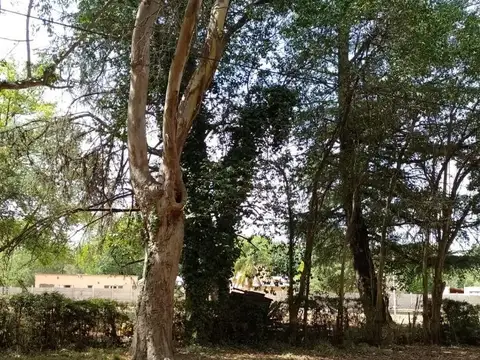 VENTA LOTES - LOS TRONCOS - BARRIO YEI PORA