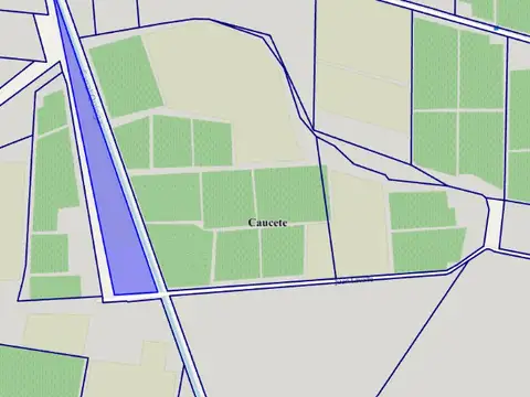 Venta - Finca de 50,38 Ha con 3 Parcelas, Caucete