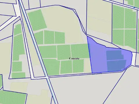 Venta - finca de 50,38 ha con 3 parcelas, caucete